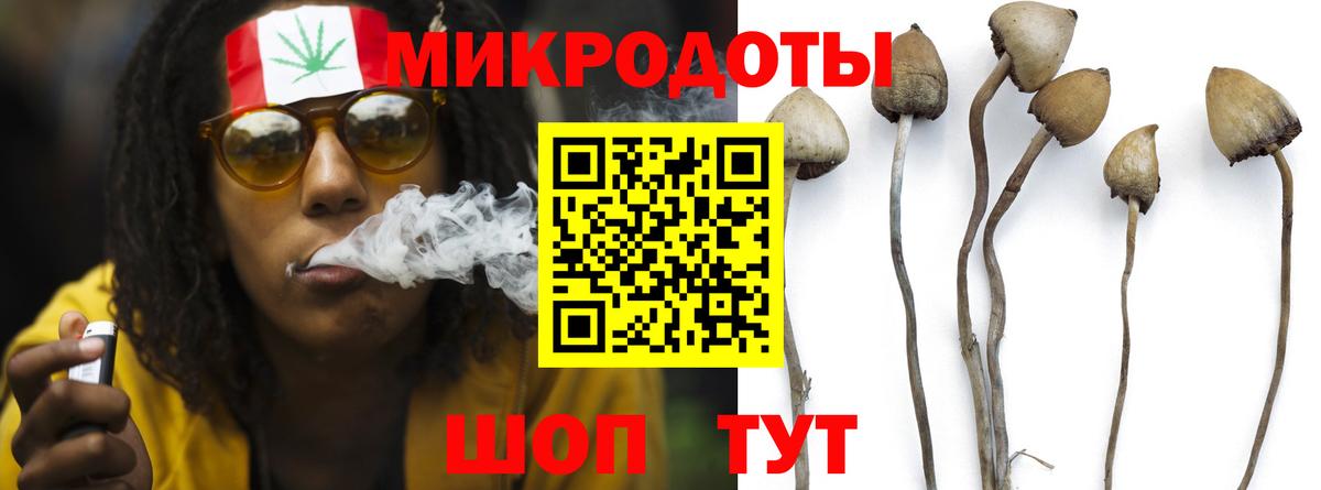 Галлюциногенные грибы Psilocybe  Псилоцибиновые грибы прущие грибы  Севастополь  Вход с VPN 